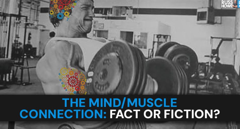 is the mind muscle connection real