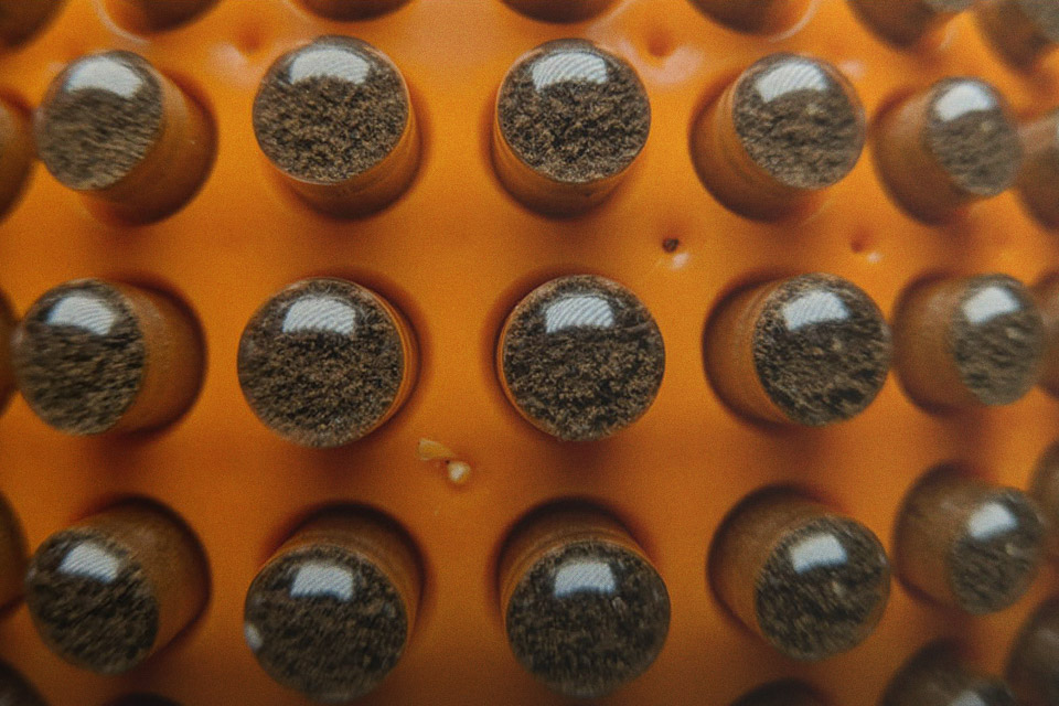 Tribulus is an ineffective testosterone booster